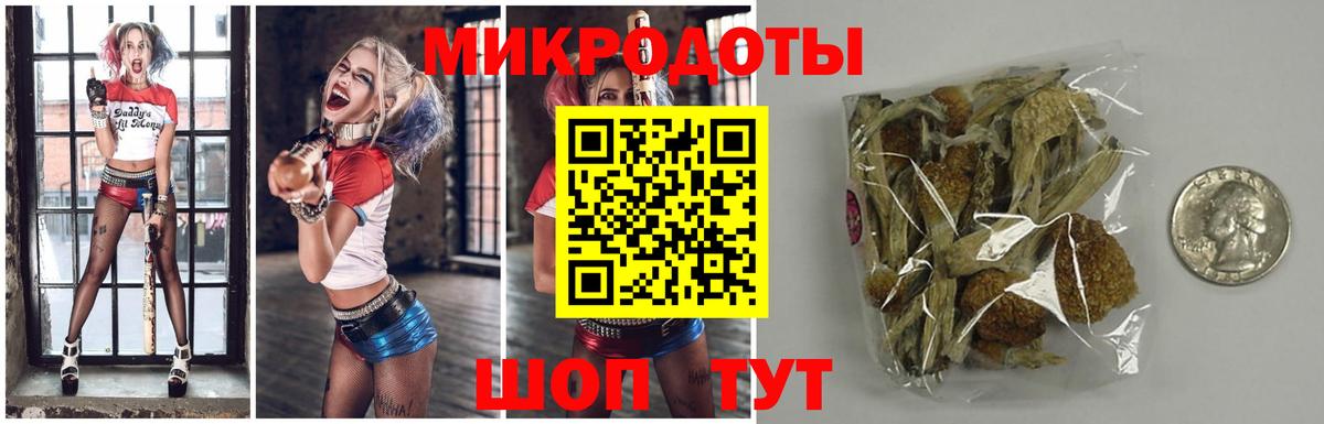 Лениногорск  Псилоцибиновые грибы GOLDEN TEACHER  Вход с VPN 